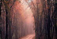 [欧冠]德布劳内助曼城一球小胜马德里竞技.