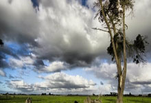 日媒预测日本vs巴林首发：三笘薰、南野拓实领衔，伊藤洋辉在列.