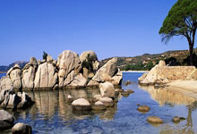 意媒：图多尔将带助教亚沃尔契奇和门将教练罗吉奇接手尤文.